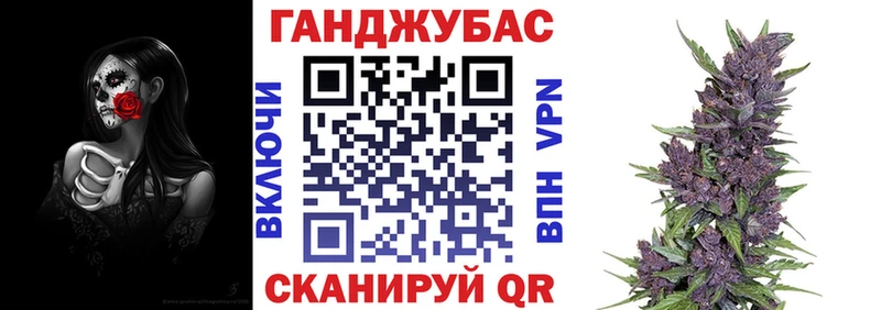 Конопля сатива  Бологое 
